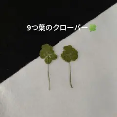 桃次郎kk様 リクエスト 2点 まとめ商品