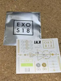 EXO SUMMER 2018グッズ(a-nation 出演記念グッズ)