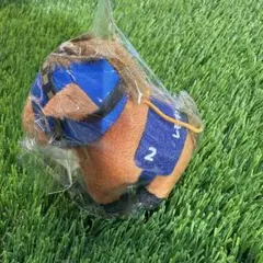 サラブレッドコレクション ぷちぬいぐるみ　レモンポップ