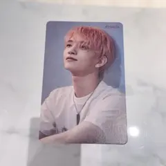 2025年最新】ジョシュア トレカ 舞い落ちる花びらの人気アイテム