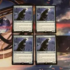 切望の隼/Coveted Falcon 英語 MTG
