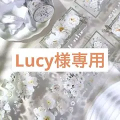 Lucy様 リクエスト 9点 まとめ商品