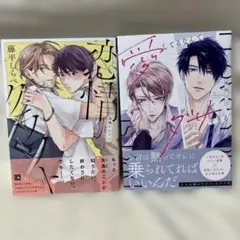 バラ売り不可　東京レイヴンズ　計21冊(既刊) 初版帯付き　特典付き バラ売り不可 3月の霹靂 1、2 初版帯付き 特典付き - メルカリ