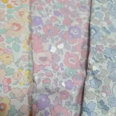 Item thumbnail for item a089248d-5221-457f-aded-9ebc2bc5b65a