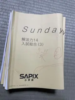 2026年最新】sapix サンデーサピックスの人気アイテム - メルカリ