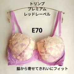 E70 トリンプ プレミアムレッドレーベル 脇から寄せてきれいにフィット ブラ