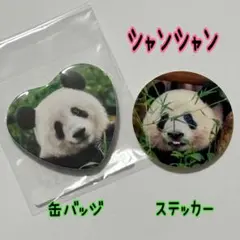 非売品♦️コンプリート　シャンシャンバッジ　上野動物園　パンダ パンダ ピンバッジ シャンシャン公開記念 6個セット 上野動物園 - メルカリ