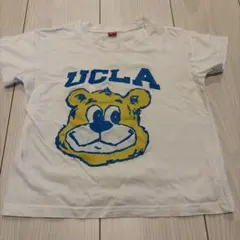 UCLA クマイラスト Tシャツ 100cm