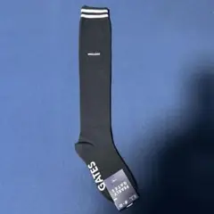 パーリーゲイツ　ニイハイソックス