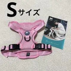 Item thumbnail for item 6cfb6974-2528-4cd5-8bd5-9a8a6e13e7fd