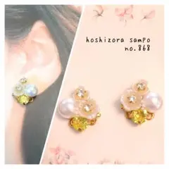 ✴no.868✴　ハンドメイドピアス・イヤリング