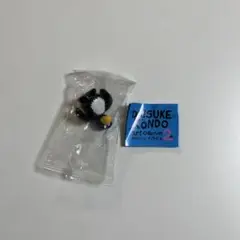 DAISUKE KONDO Pengin