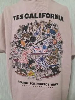 The Endless Summer TES BUHI ALL STARのサムネイル