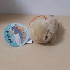 オーさんしょうさん　マスコット　ぬいぐるみ