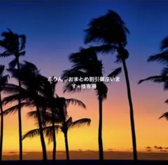 ぷりん♡おまとめ割引御座います✬様