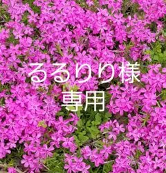 るるりり様専用　m_mefu 芽風 メフウ 水玉柄切替トップス チュニック