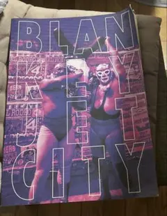 2025年最新】ブランキージェットシティ パンフレットの人気