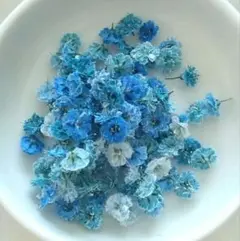 かすみ草　 コバルトブルー ドライフラワー　 約100粒＋α入っています S コバルトブルー かすみ草 ドライフラワー - メルカリ