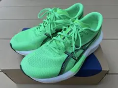 Item thumbnail for item b7a4e5f6-94db-409e-9c0c-5d48fca35645