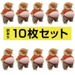 【訳あり】10枚 柴犬 ぷにぷに シール おなか 3D ぷっくり シール帳 イヌ