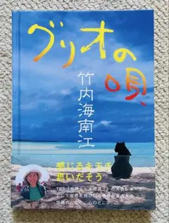 グリオの唄 竹内海南江