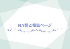 N.Y様専用相談ページ