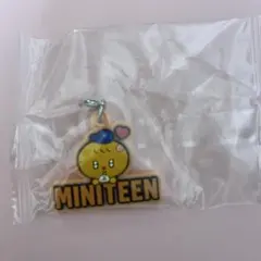 SEVENTEEN MINITEEN ミニティーン　スングァン