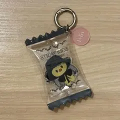 StrayKids DO IT POPUPシェイカーキーリング ポガリ