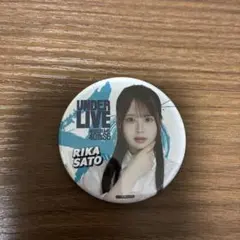 佐藤璃果UNDER LIVE 40th缶バッジ、lucky bag佐藤璃果生写真