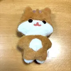 2026年最新】aniteez ぬいぐるみ ホンジュンの人気アイテム - メルカリ