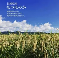 令和7年収穫 岐阜県御嵩町産 にこまる 精米10kg 低農薬 - メルカリ