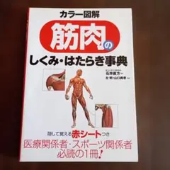 Item thumbnail for item 30a78acc-cff2-4143-b4fe-42da99449b66