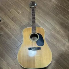 【美品】Aria EST.1956 アコースティックギター　アコギ ARIA|アコースティックギター|HARDOFFオフモール（オフモ