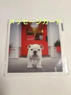 Item thumbnail for item 11d44dd5-5ee5-4005-bee3-9d54e7d2a379