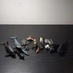 アニア