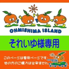 【それいゆ様専用】超小玉ポンカン9Kg　同梱発送