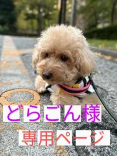 ⚠どらごん様 専用ページ⚠七海うらら 缶バッチ 57mm Booth