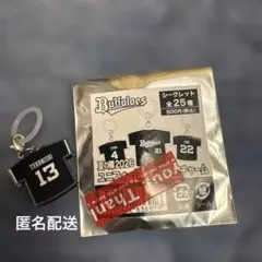 オリックスバファローズ 寺西成騎選手 ユニフォーム柄めじるしチャーム
