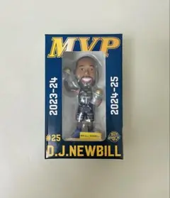 新品未開封D.J.ニュービル　バブルヘッド　#25 宇都宮ブレックス MVP