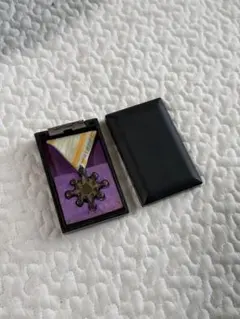 Item thumbnail for item 45e2b761-55eb-4098-bd68-9a5a12f24127