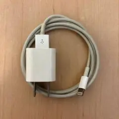 iPhone Type-A 充電器④ Lightning アダプター 純正