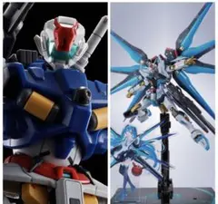 2025年最新】METAL ROBOT魂 ストライクフリーダム 弐式の人気