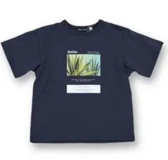 BeBe Tシャツ 120cm