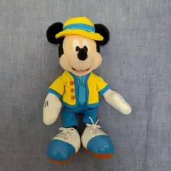 ディズニー ミッキーマウス ぬいぐるみ バッチ バケーションパッケージ