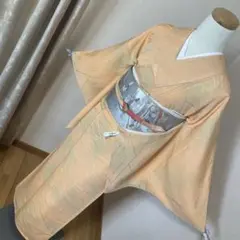 柔らかな橙色にぼかしの上品な色無地