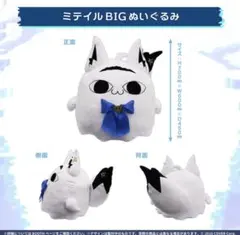 Item thumbnail for item a8924a41-cd76-42a5-8dd1-bb303ecec691