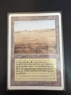 2025年最新】サバンナ mtgの人気アイテム - メルカリ