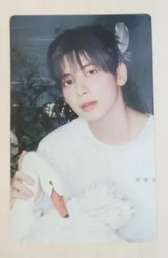 カンテ　トレカ　Starkissed