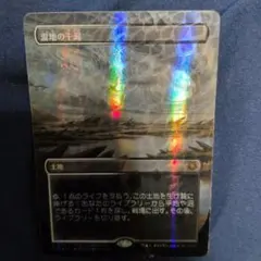 湿地の干潟 Marsh Flats 4枚セット MTG - メルカリ