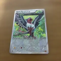 オオスバメ　XY6